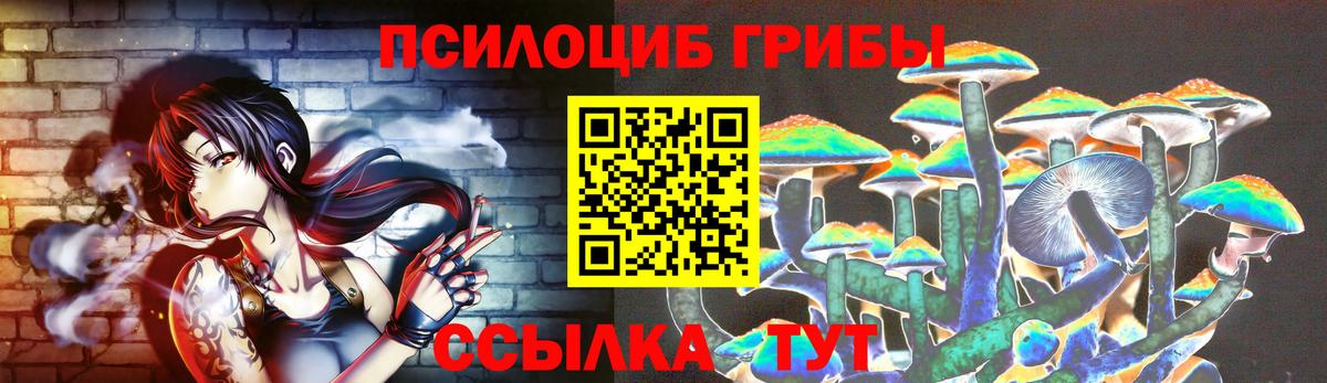 Псилоцибиновые грибы мухоморы Шебекино